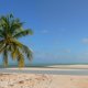 66- La plage de Hirifa 